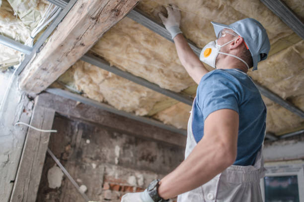 Best Residential Insulation in Hokes Bluff, AL