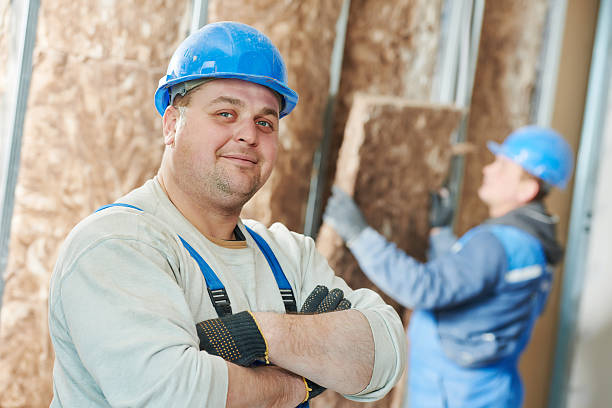 Best Energy Efficiency Solutions in Hokes Bluff, AL