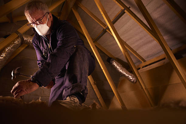 Best Insulation Installation Services in Hokes Bluff, AL